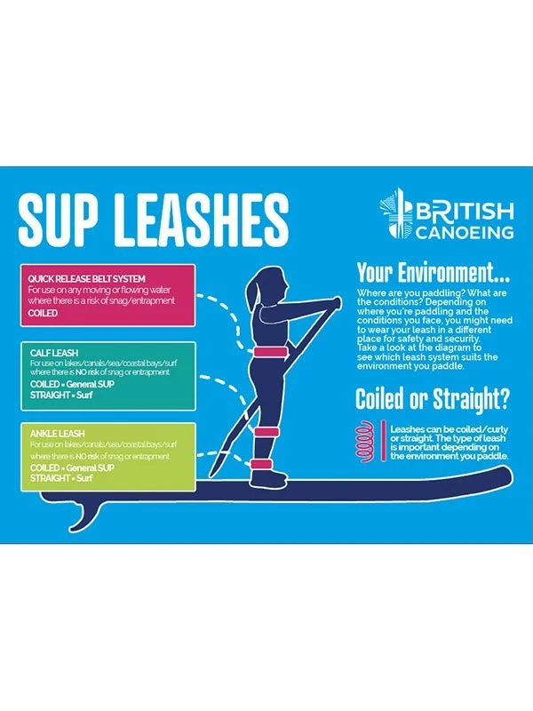 Riding Not Hiding Quick Release Safety Belt With Coiled Leash 4 Riding Not Hiding Quick Release Safety Belt With Coiled Leash - Image 2