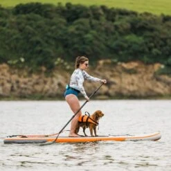 Shark Allround 3-in-1 11' X 34" Paddle Board 2023 -Surfing Equipment Shop shark 10 6 windsup 1