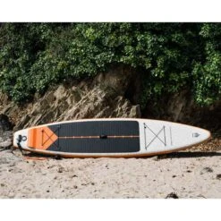 Shark T 12'6 X 30" X 5" Paddleboard 2023 -Surfing Equipment Shop shark 126x30x6