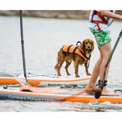 Shark T 12'6 X 30" X 6" Paddleboard 2023 -Surfing Equipment Shop shark sups lifestyle board lifestyle32